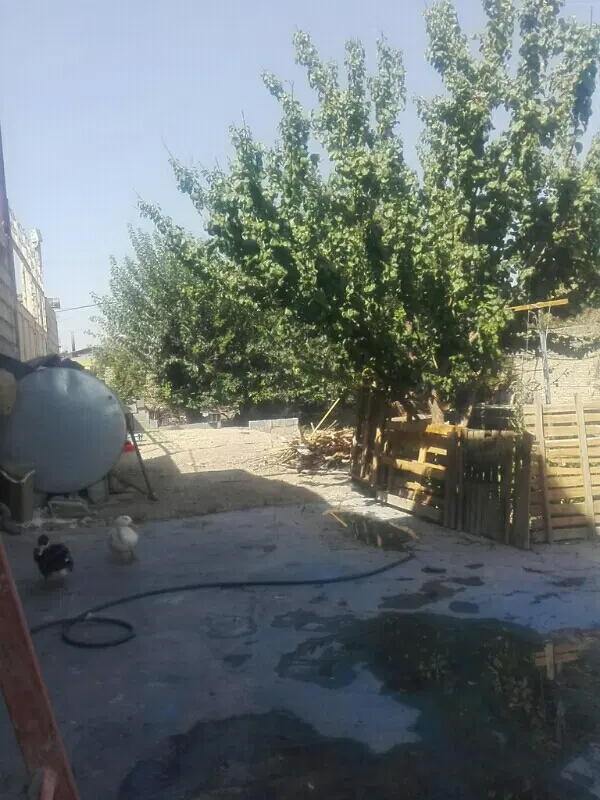 سه جریب باغ