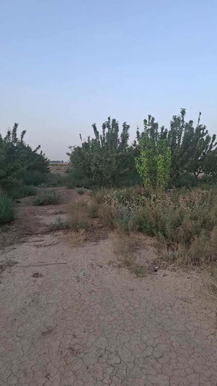فروش باغ در گرگاب