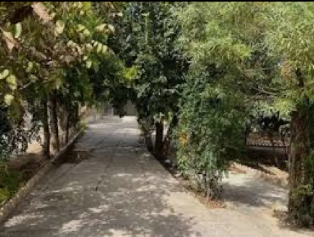 باغ