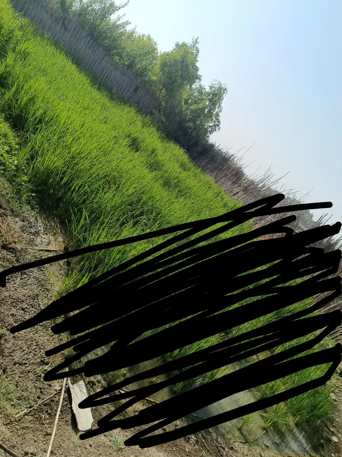 فورش زمین روستای پرسو. مینودشت