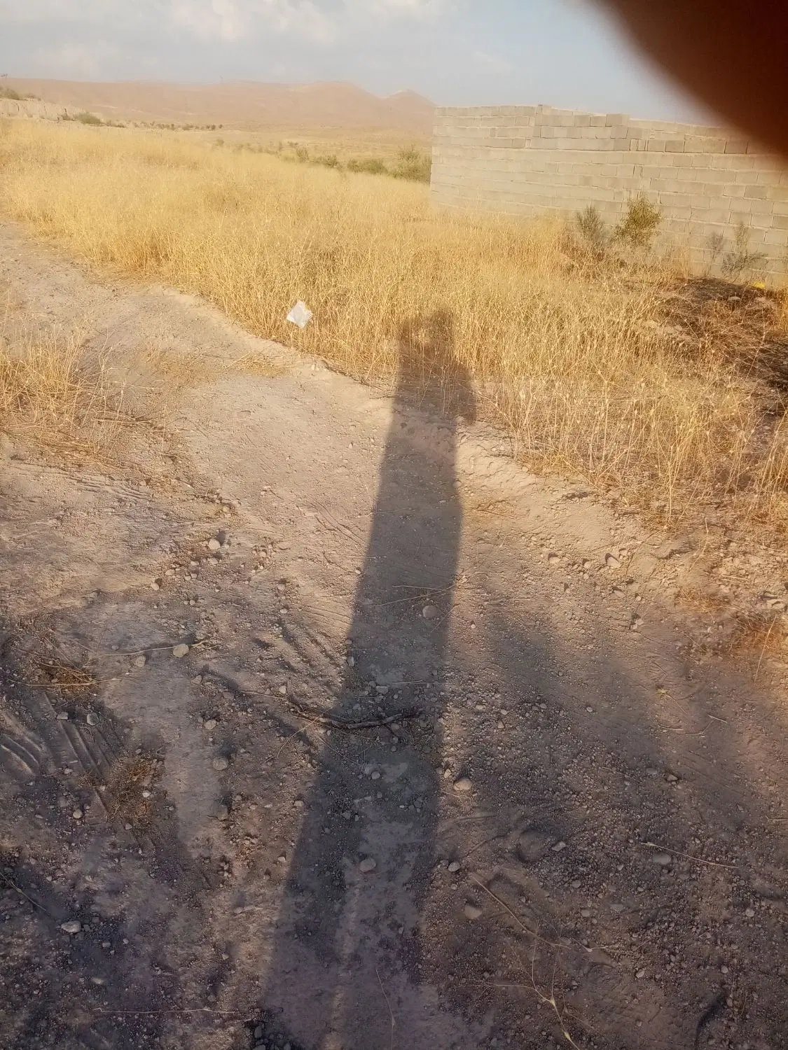 زمین ویلایی