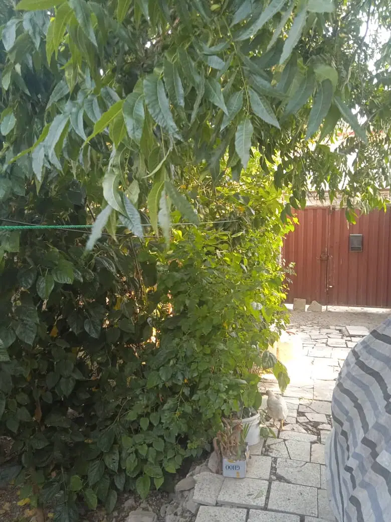 فروش خانه ویلایی ۳۰۰متری