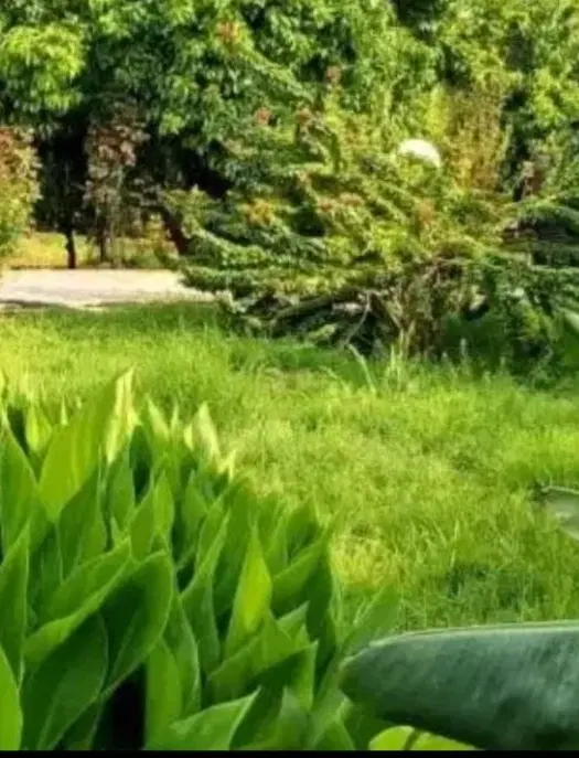 ملک مسکونی