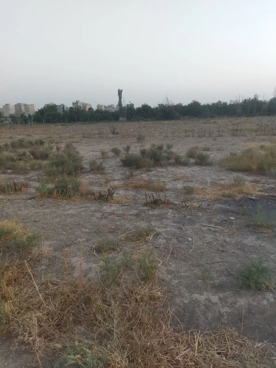 زمین فروشی پیشک ۳