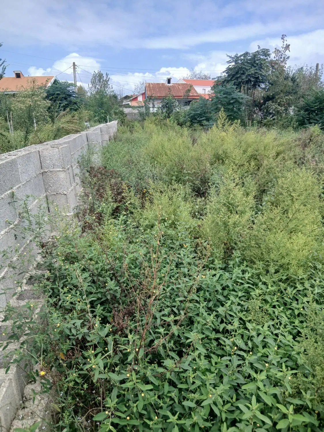 فروش زمین  ۵۰۰متر