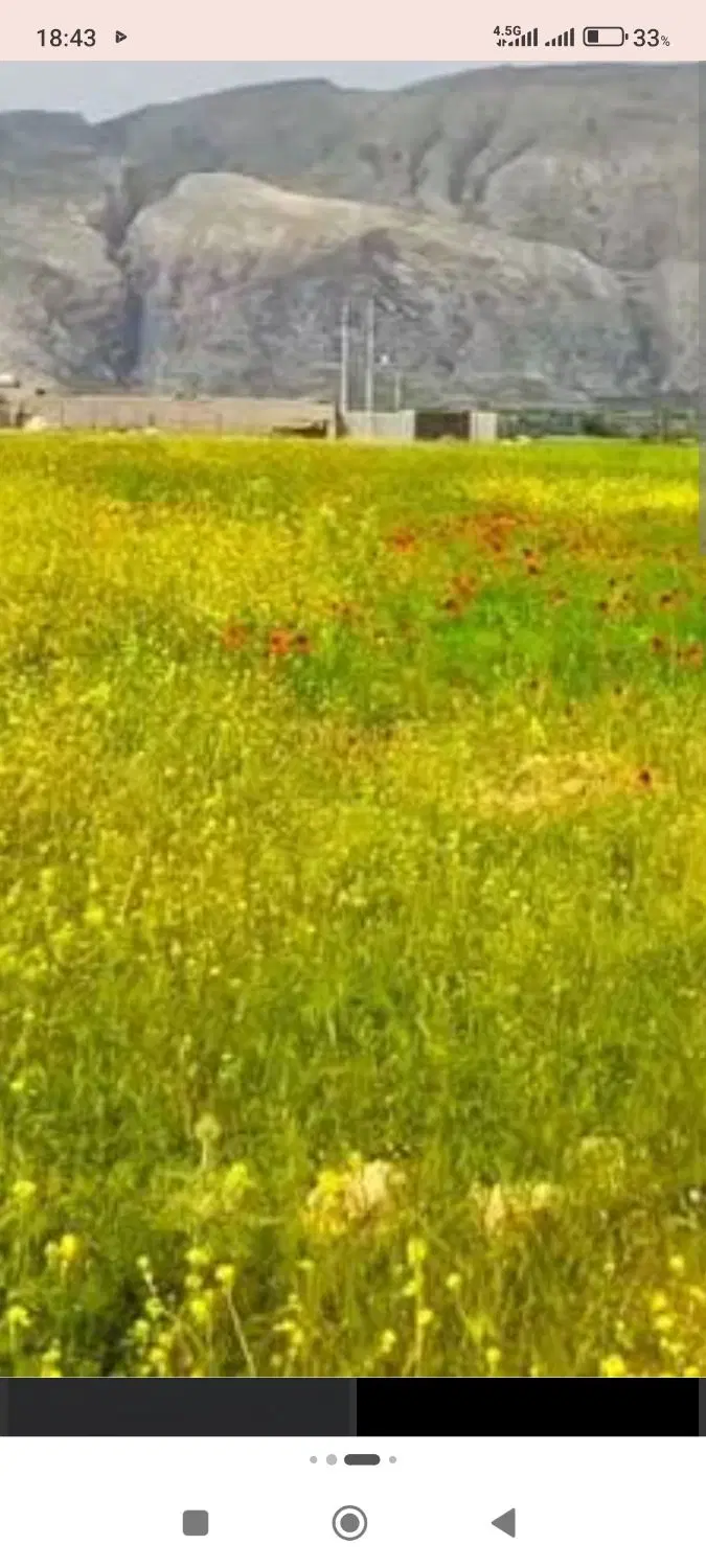 فروش فوری یک قطعه زمین واقع در روستای سمغان