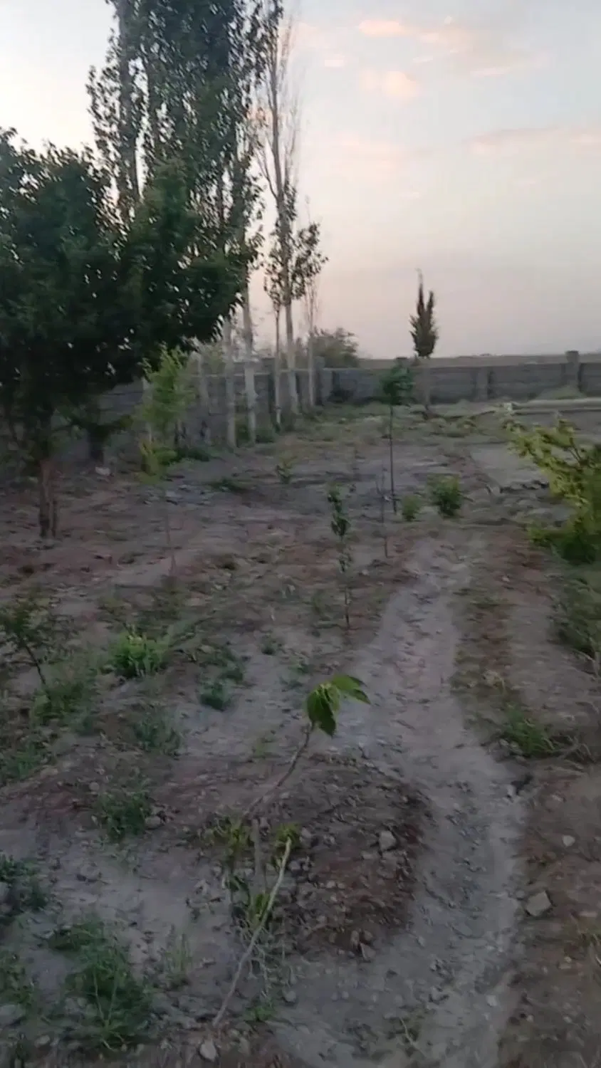 زمین برای خونه باغ