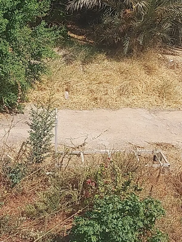 زمین مسکونی