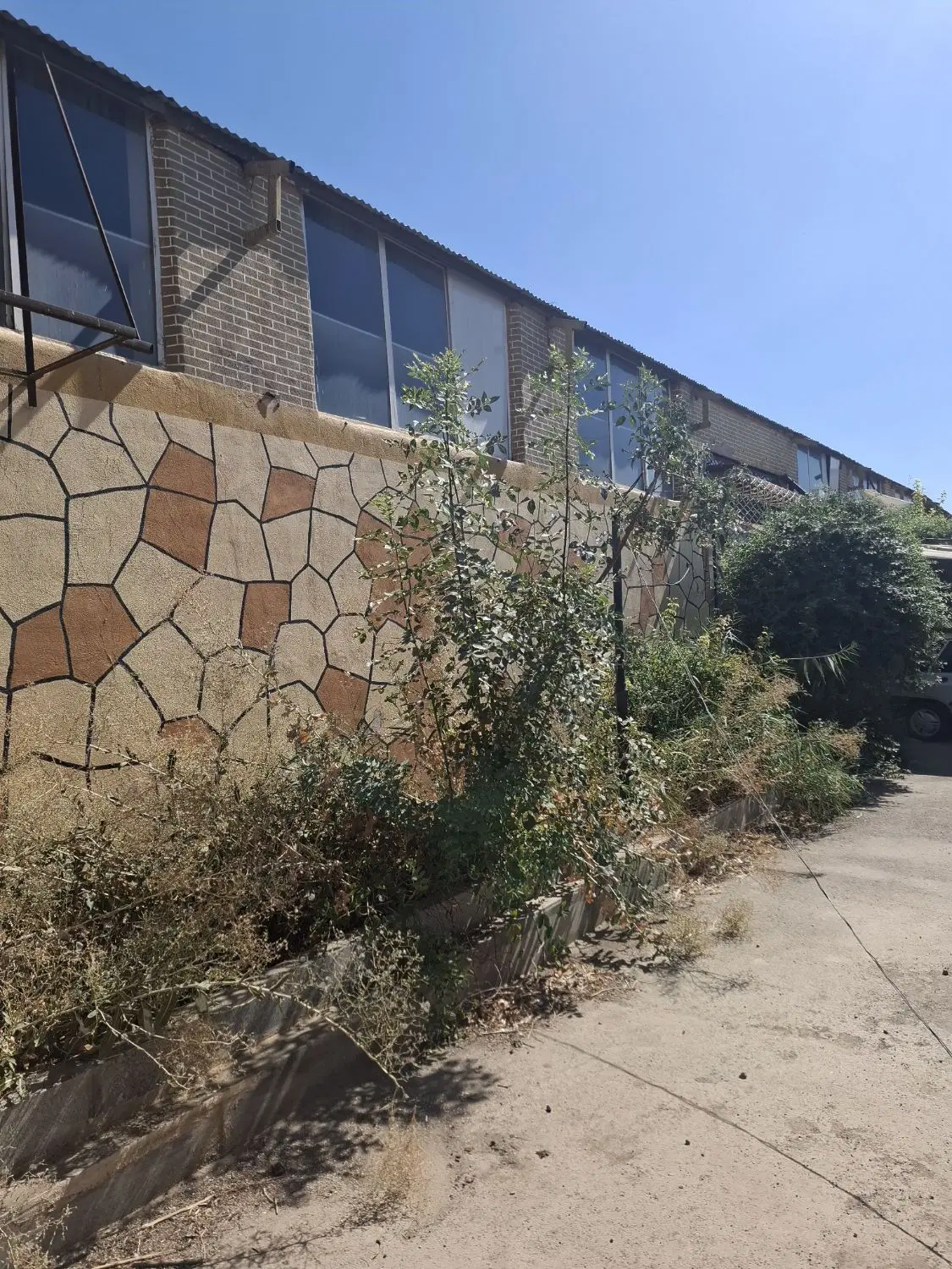 سوله بهداشتی