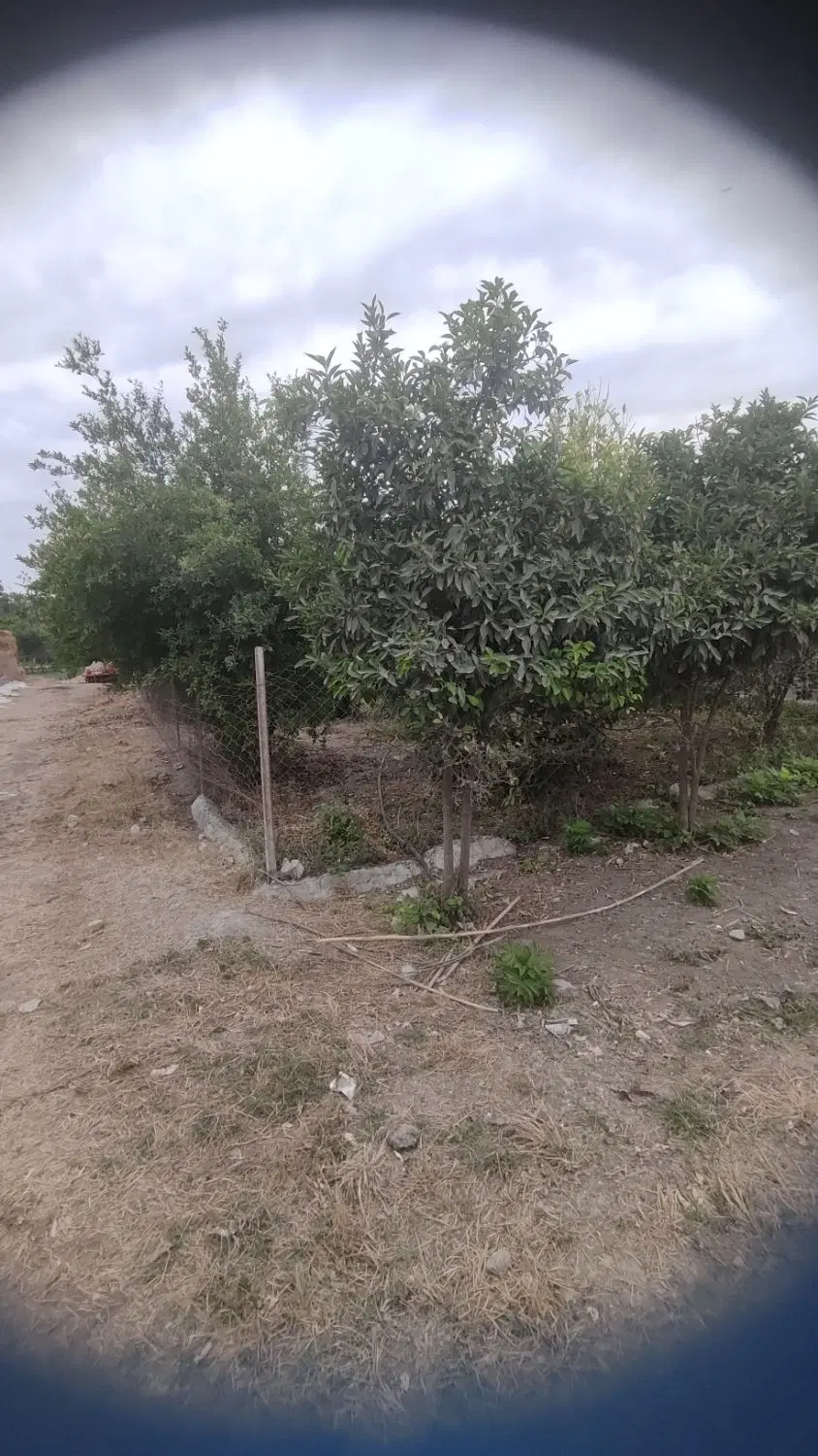 زمین واقع در روستای شورابسر فاصله تا شهر۵دقیقه