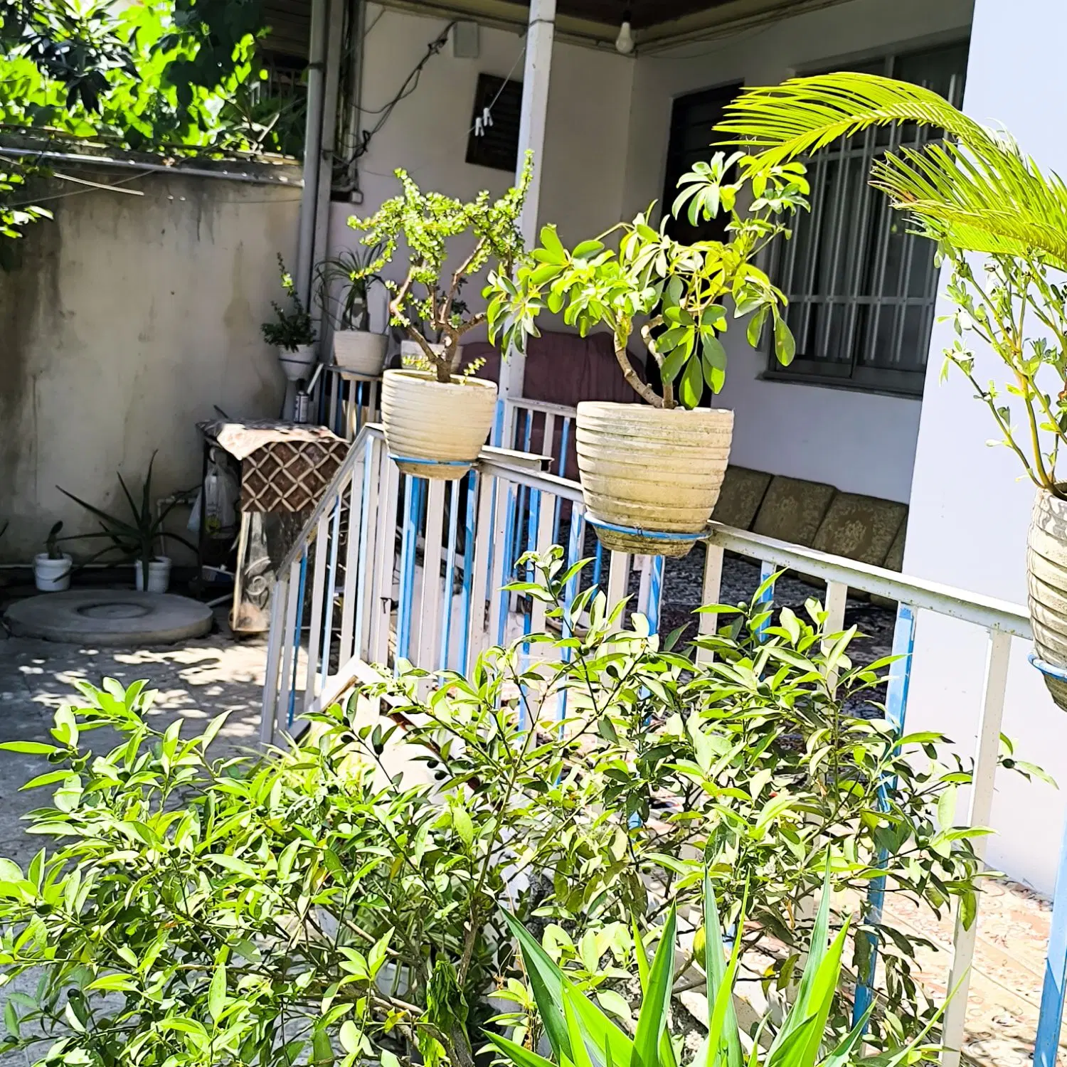 ویلایی اجاره روزانه جانبازان