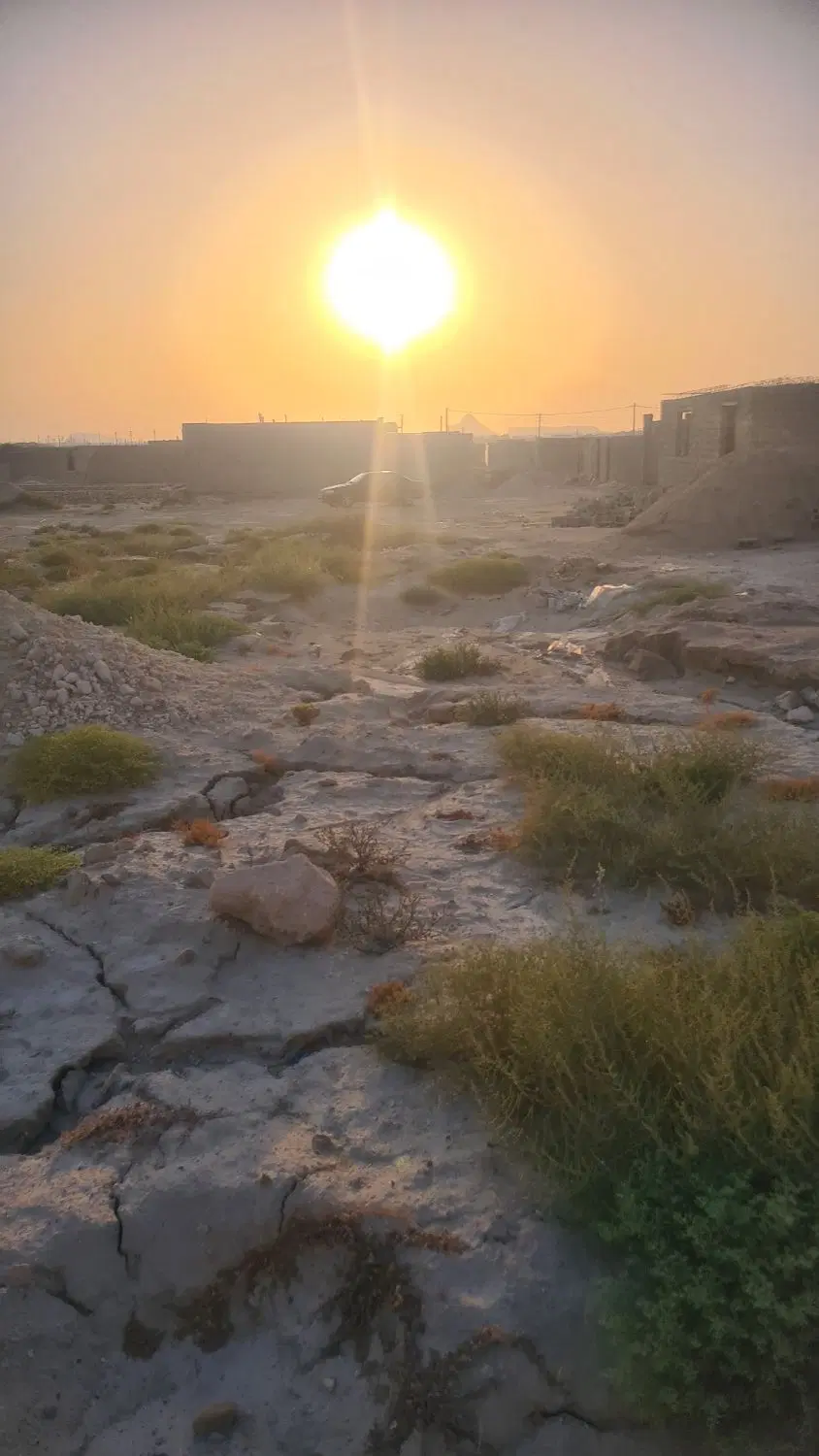 زمین طولا شقایق ۳۸