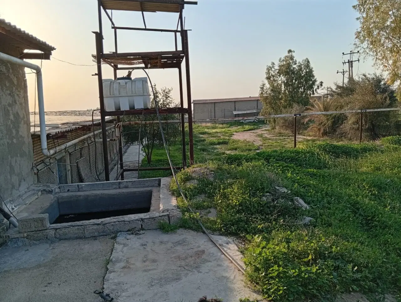 رهن اجاره مرغداری ۲۵هزارتایی
