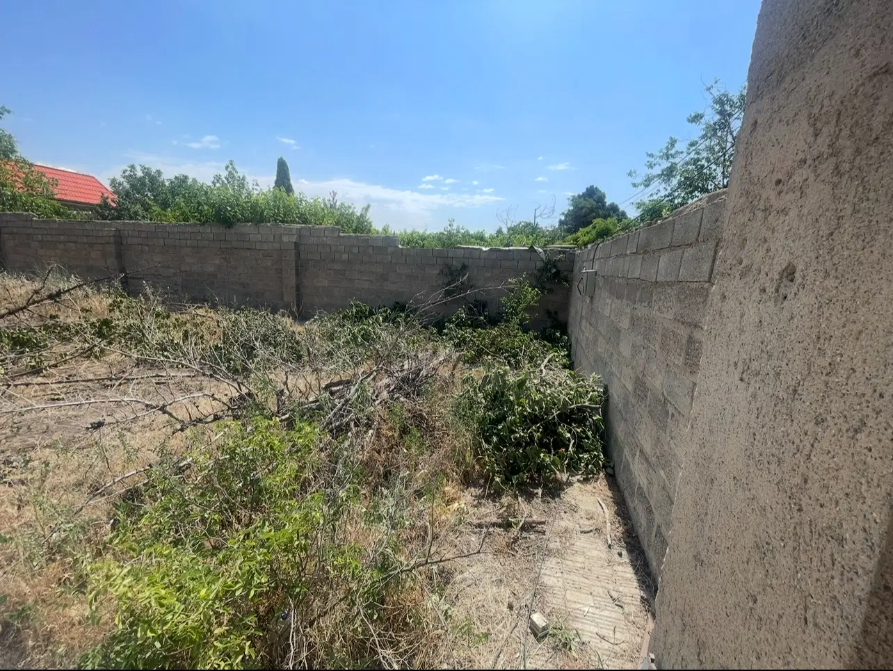 افشاریه