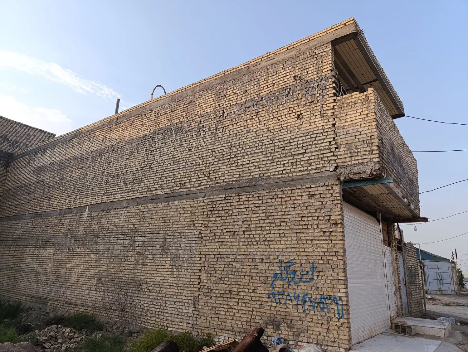 شیبان پشت چمن مصنوعی