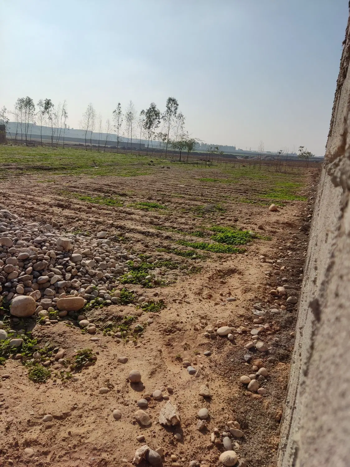 زمین باغچه ۸۵۰ متری