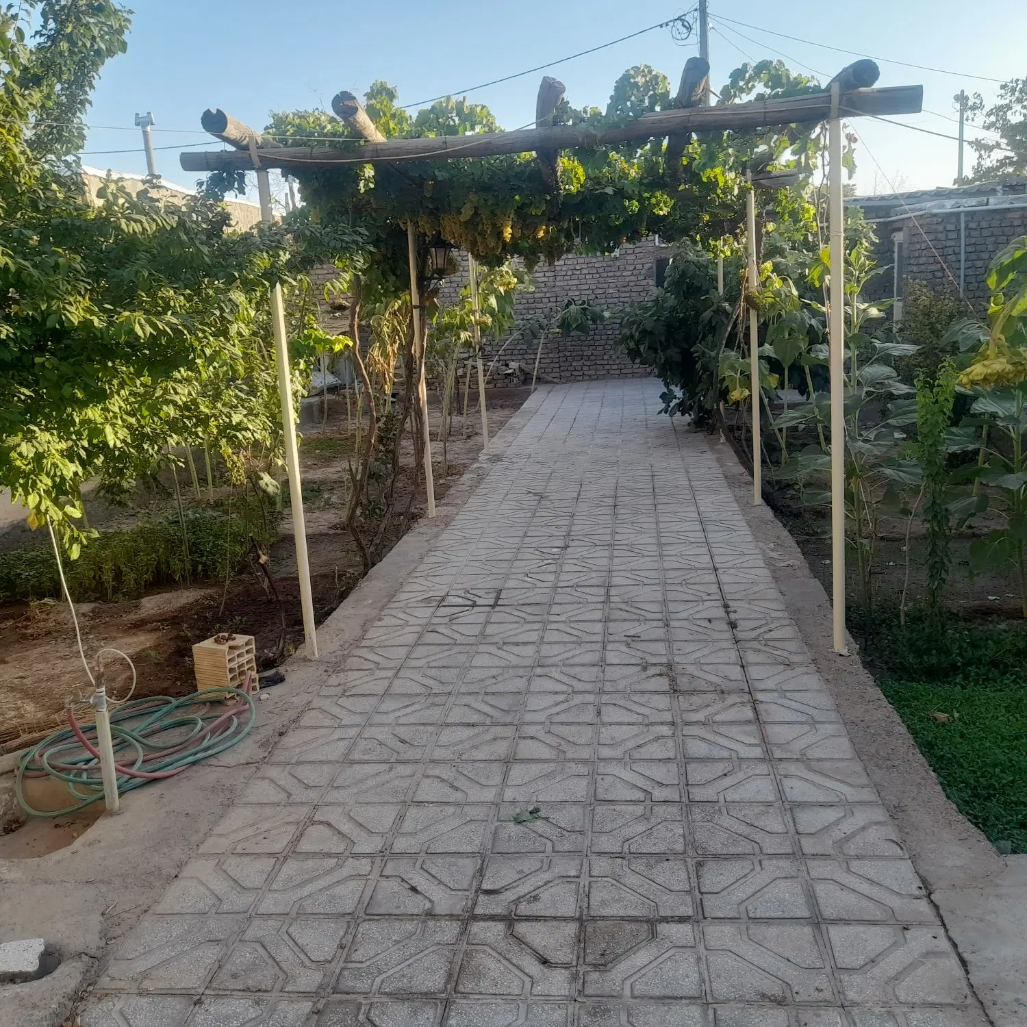 باغ ویلایی با مغازه اجاره