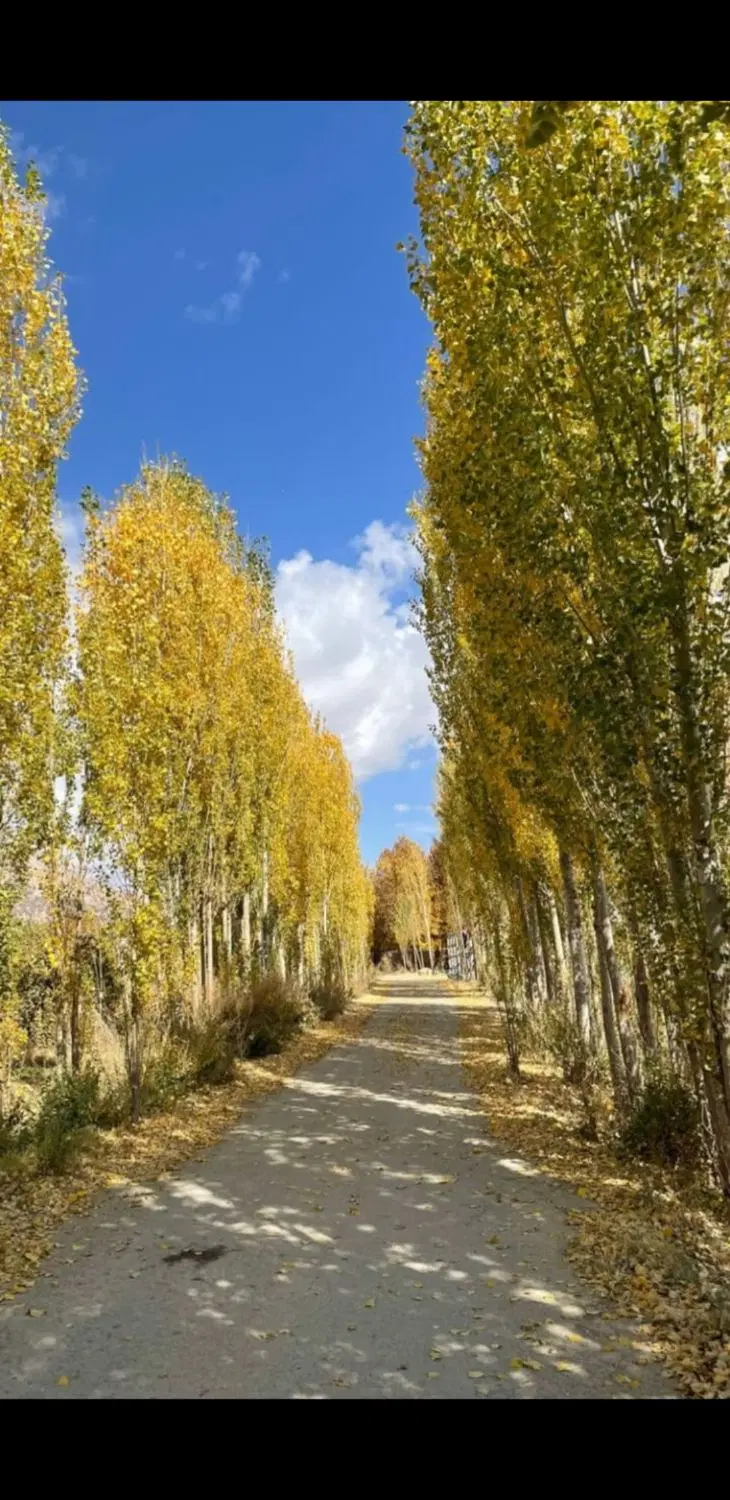 فروش زمین باغ باغچه  دشت ارژن