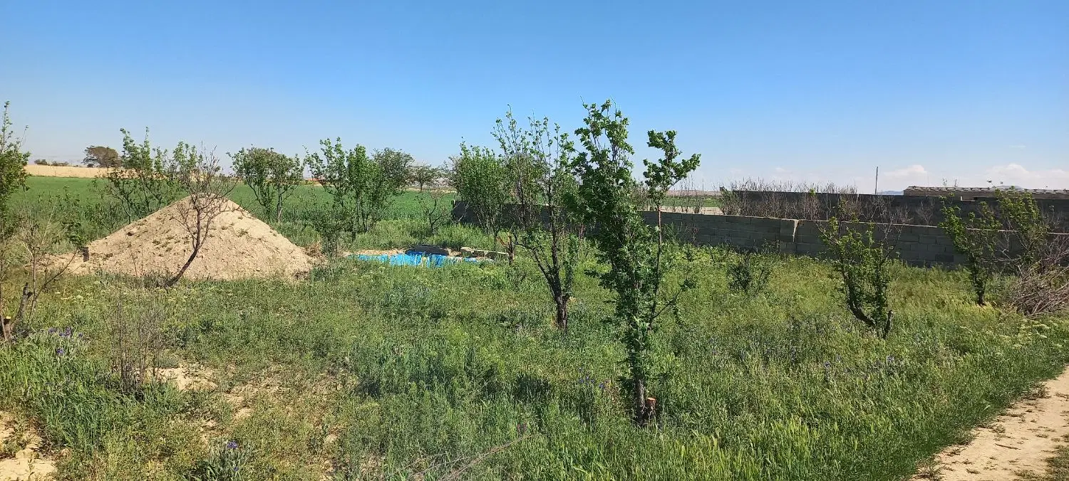فروش زمین باغچه
