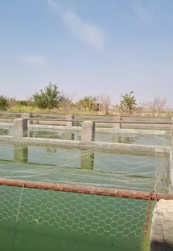 استخروباغ