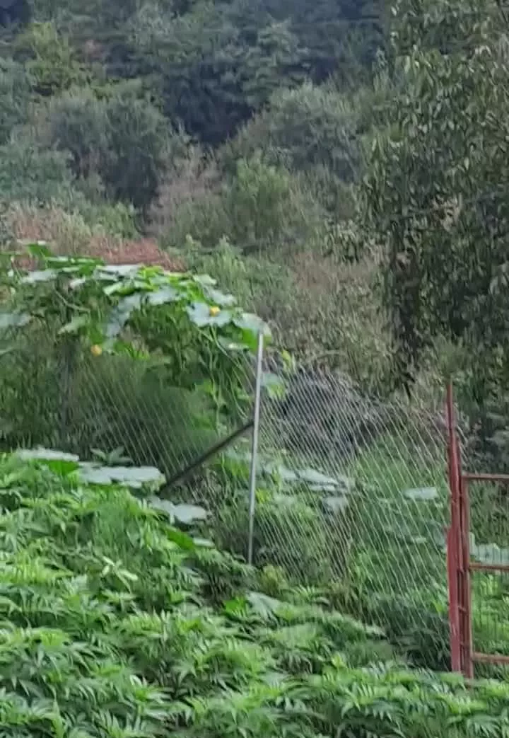 خانه به همراه محوطه کلنگی