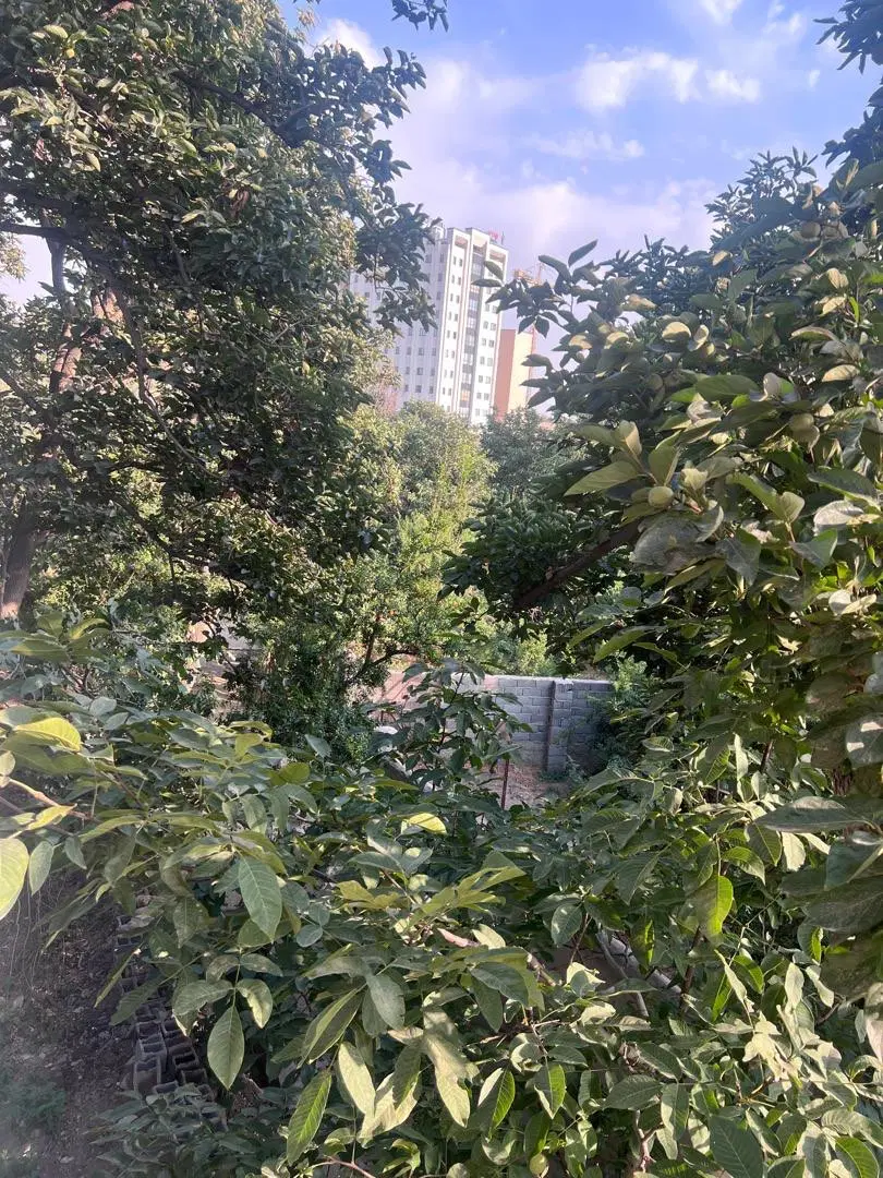 باغ میوه در تهران