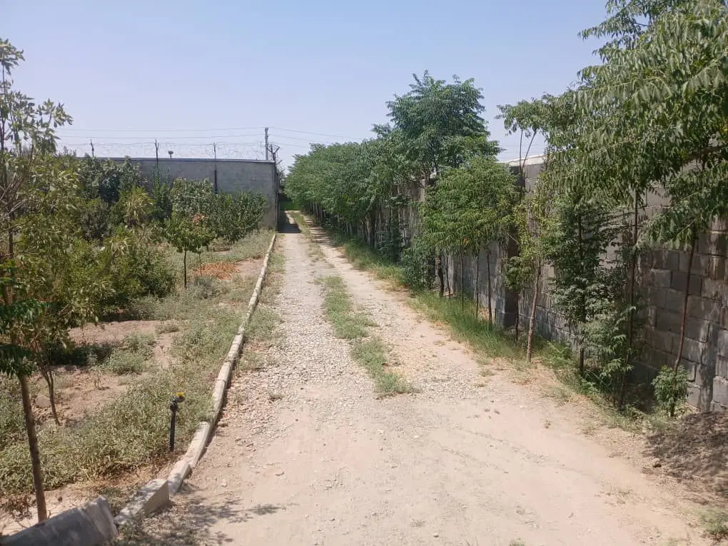 فروش باغچه چهار دیواری