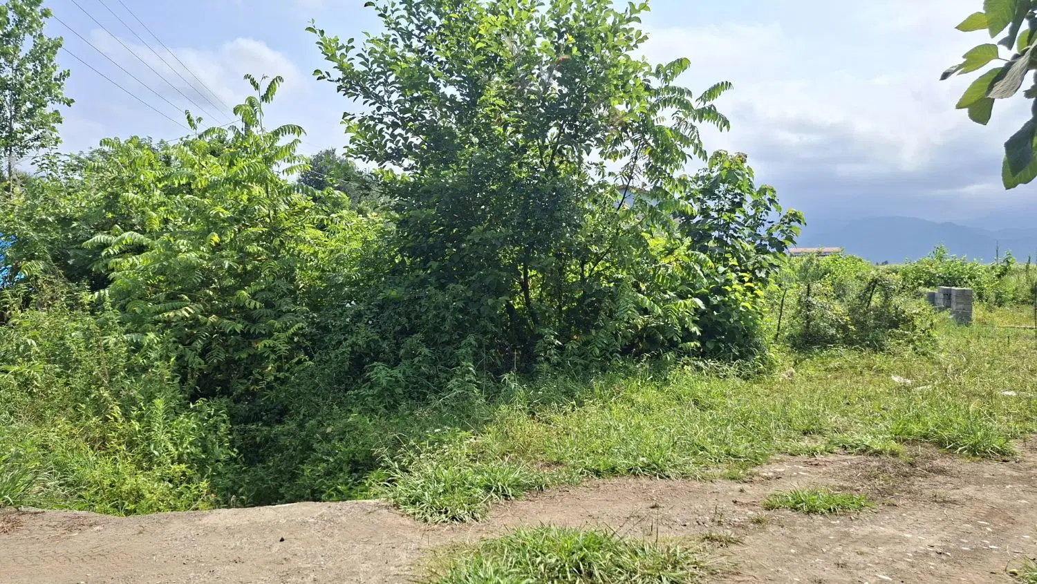 زمین پره سر رودکنار مسکونی۲۴۹متر ۲نبش سنددار