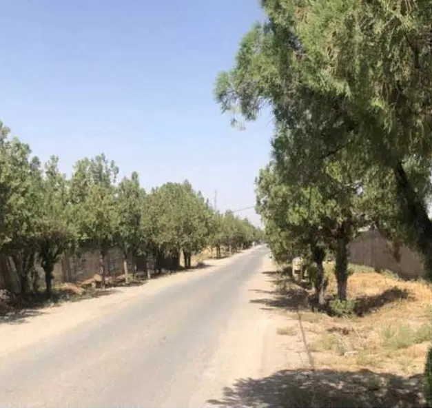 ۱۲۵۰مترسند تکبرگ قابل ساخت و ساز