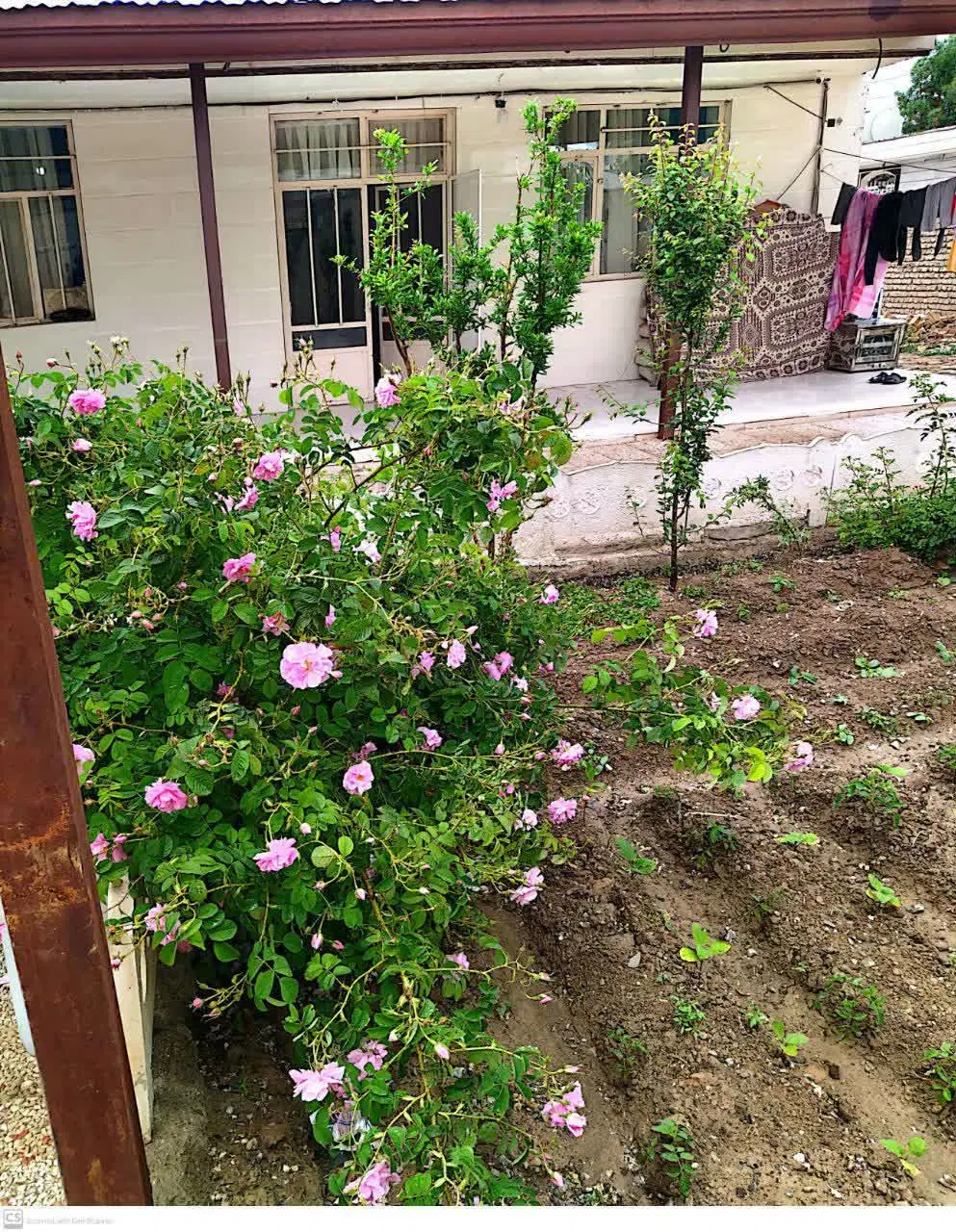خانه ویلایی باغچه دربست