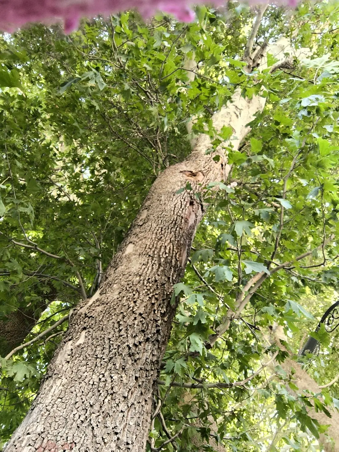خانه ویلایی واقع در خانوک
