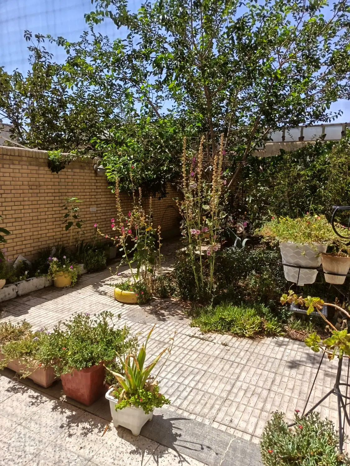 ملک پردیس جنوی 198 متری