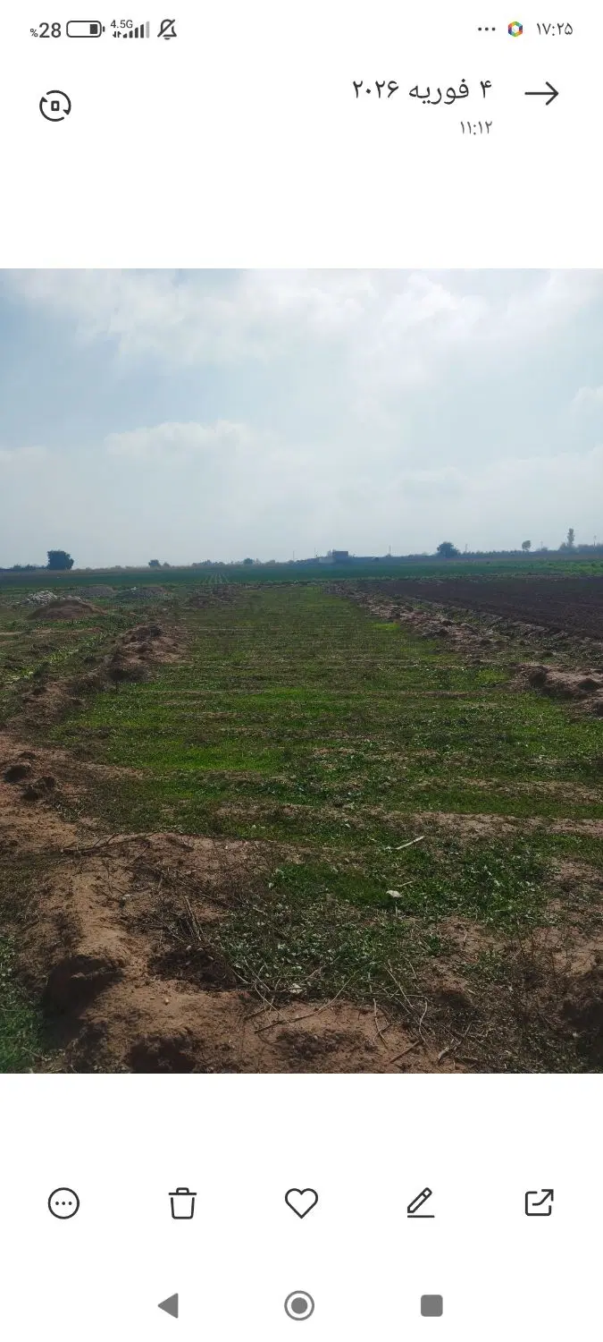 فروش زمین 730 متری