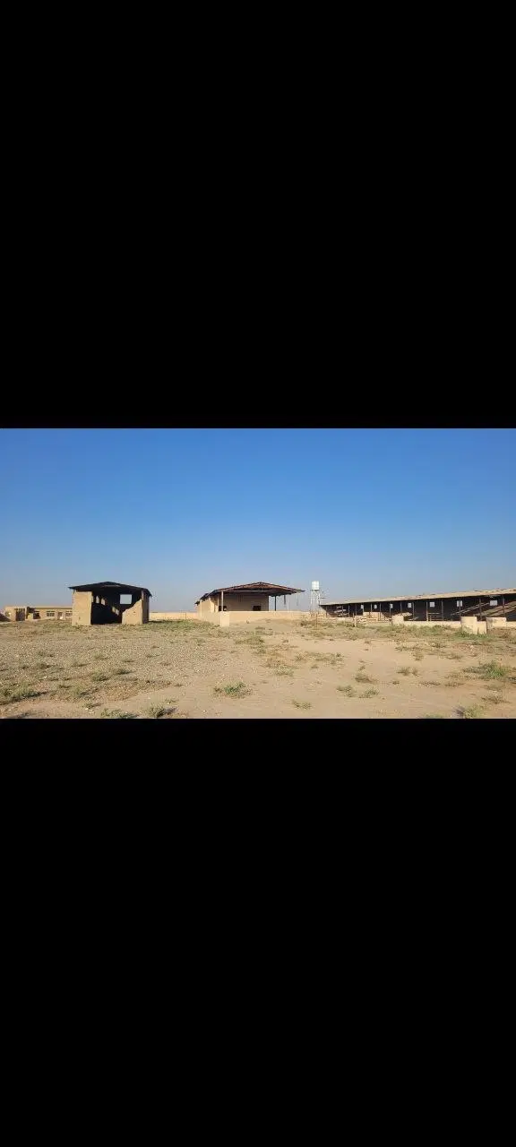 دامداری فروش کد۱۰۹