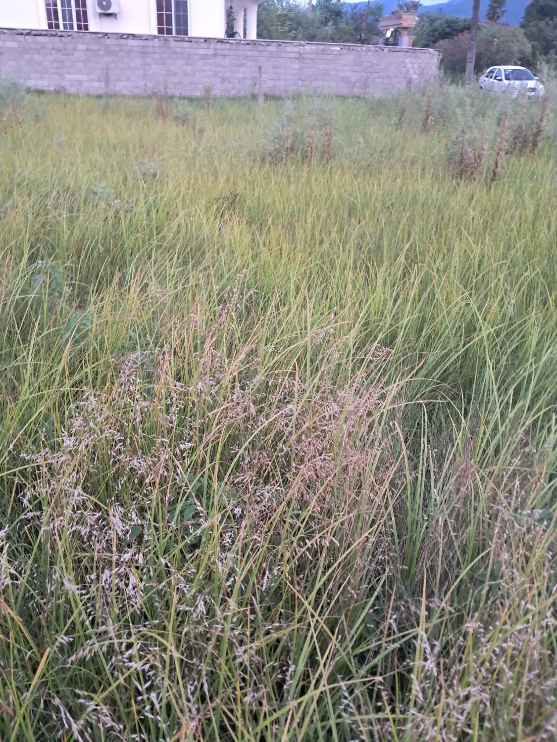 فروش زمین مسکونی