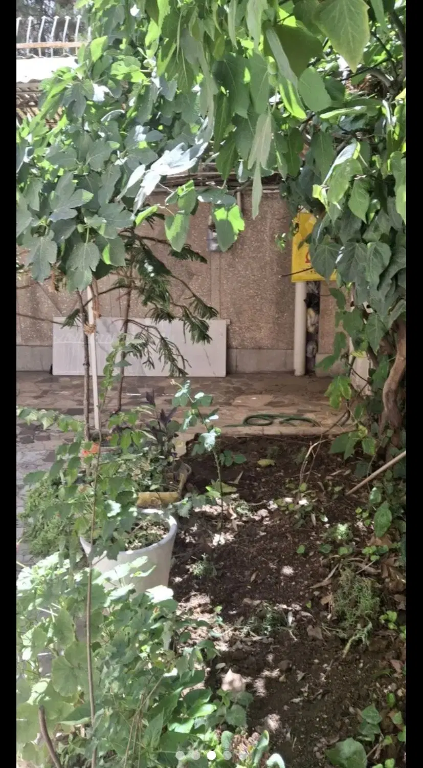 یوسف اباد ۱۸۵ متر