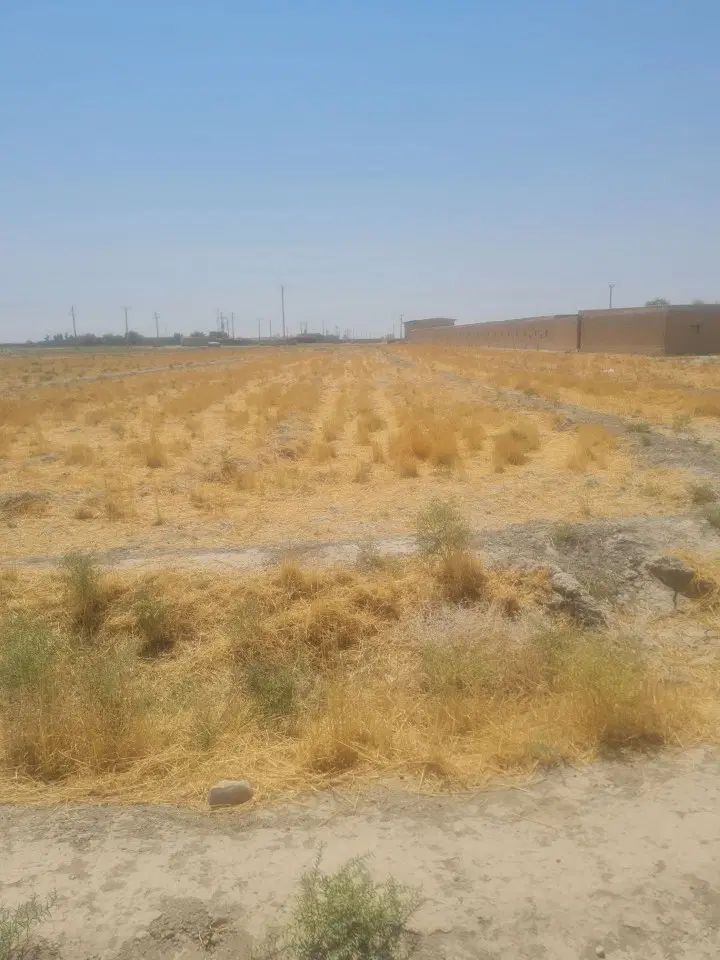 زمین روبه رو شاندیز