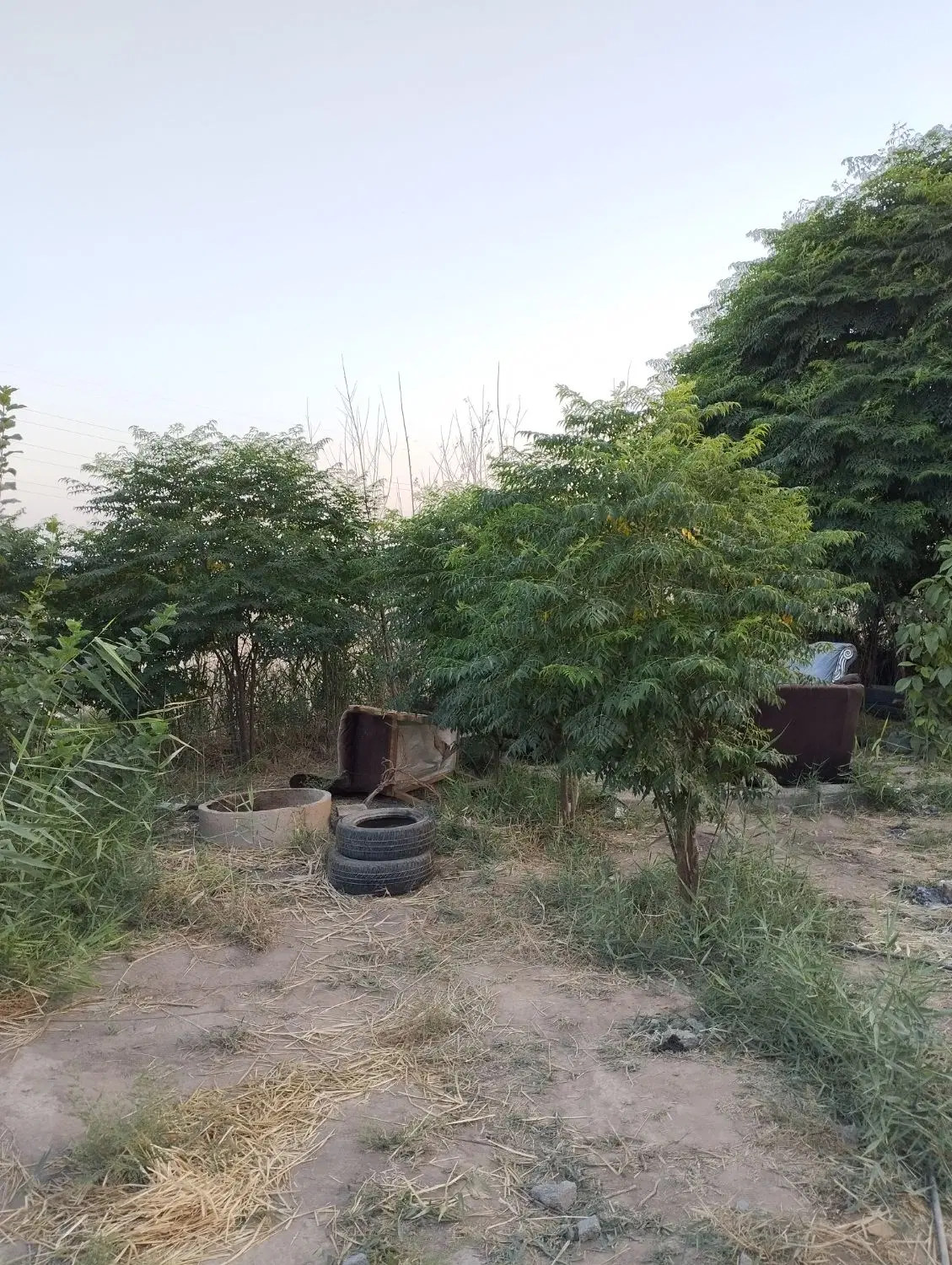 هزار متر باغچه درسن اباد