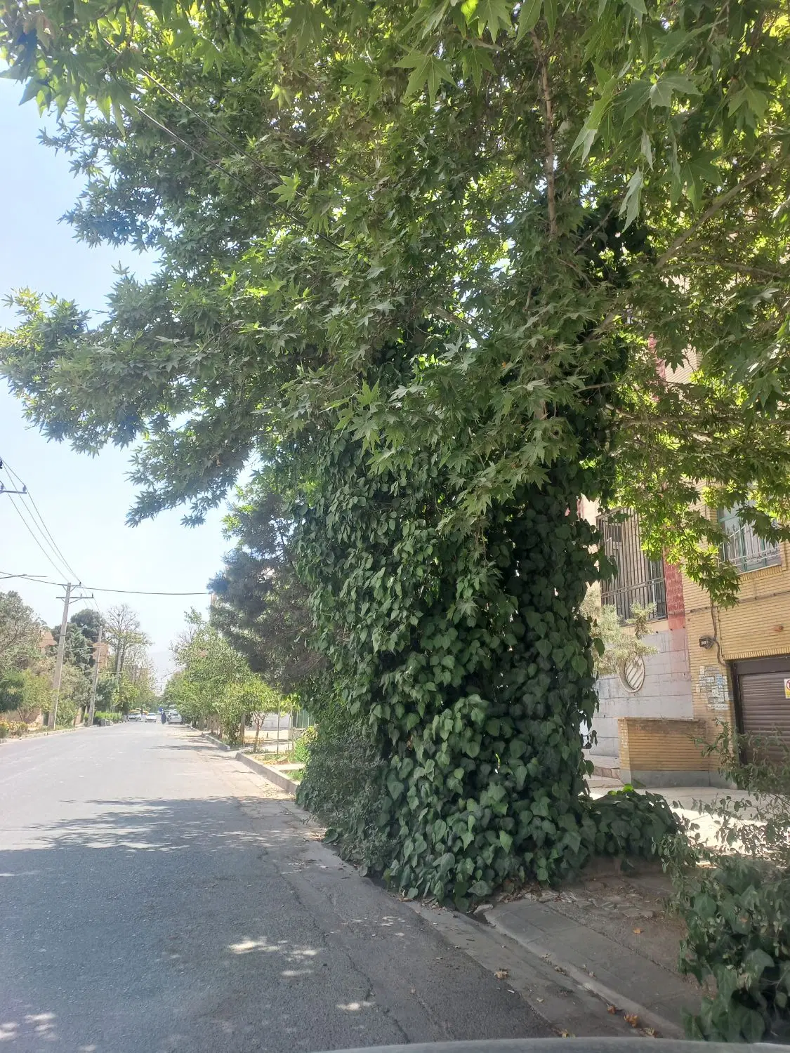 ویلایی عظیمیه