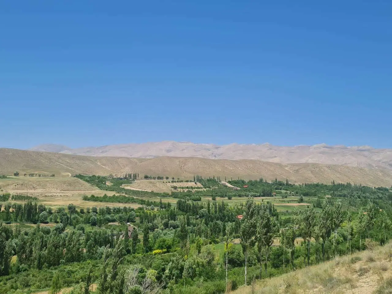 زمین باغی در فیروزکوه
