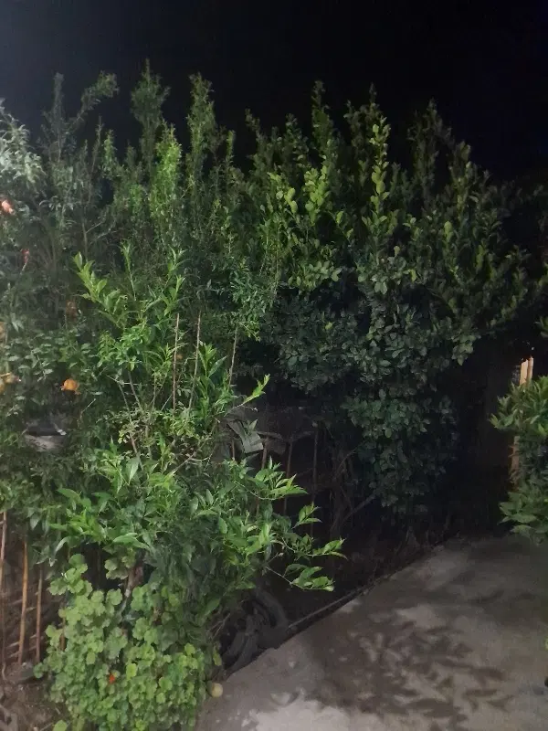 خانه ویلایی