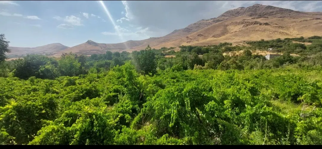 زمین باغ حدود ۲۰۰۰۰ متربهر اتوبان شرقی