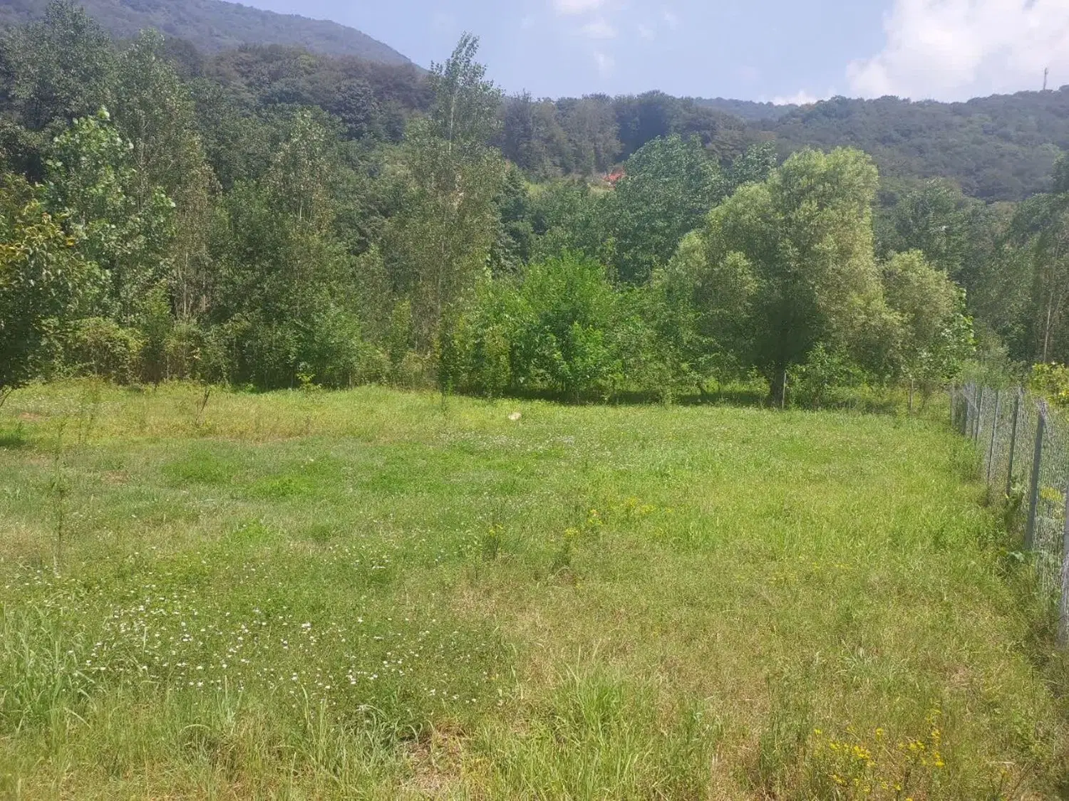 زمین در روستای جوارم