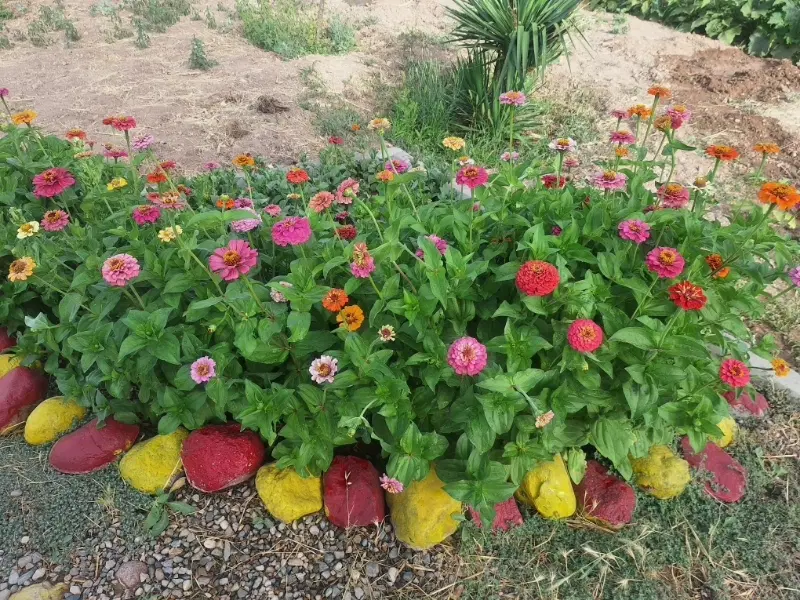 1 قطعه زمین در گلستان یکم مهرشهر