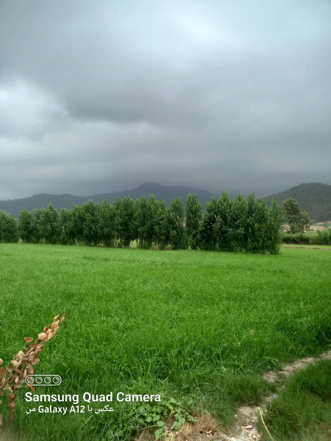 فروش چند قطعه زمین قواره بندی شده