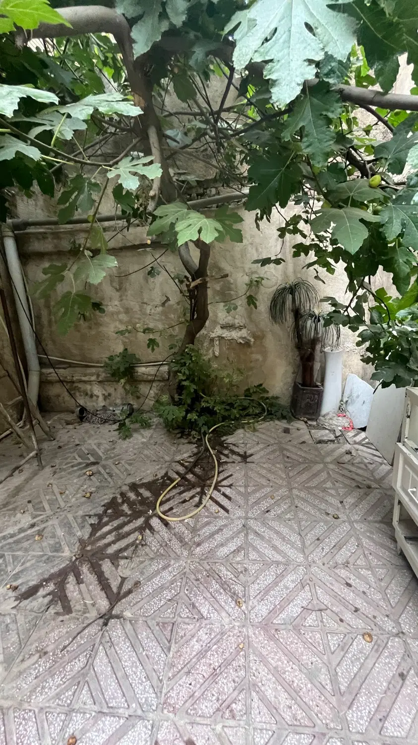 منطقه ۸ کلنگی سه طبقه تهران