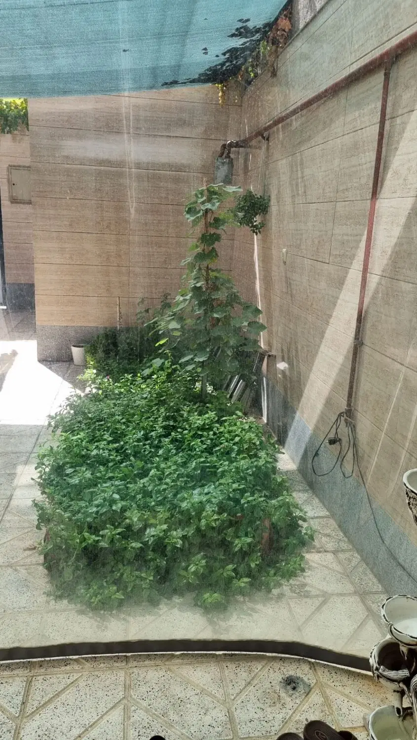 فروش منزل  ویلایی