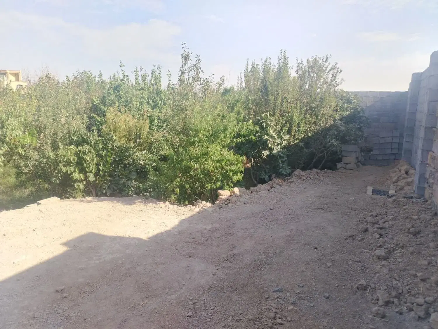 باغ کوشک