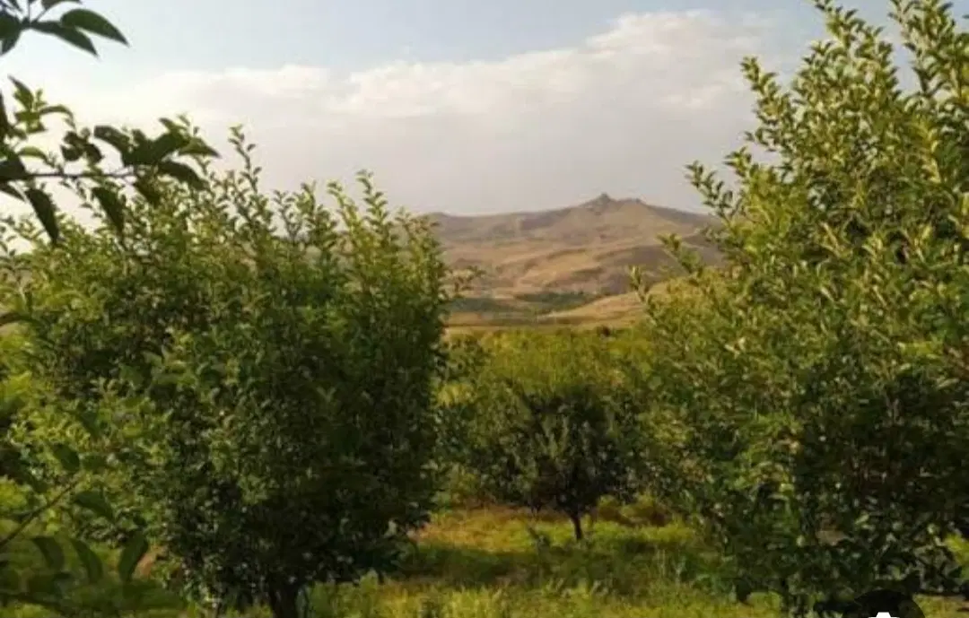 باغ