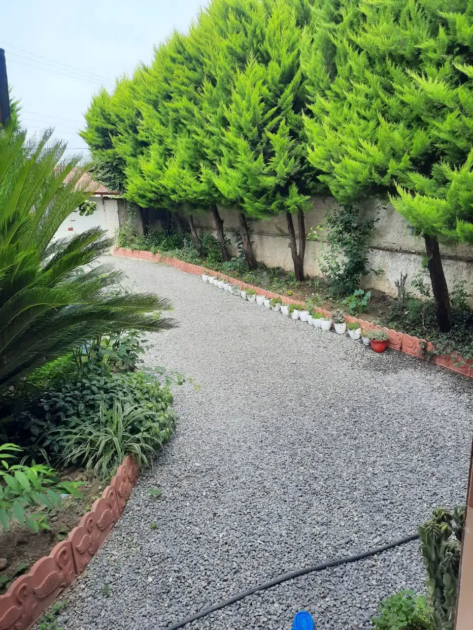 ویلای دربست اجاره سالیانه